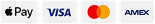 Métodos de pago aceptados: Apple Pay, Visa, Mastercard y American Express